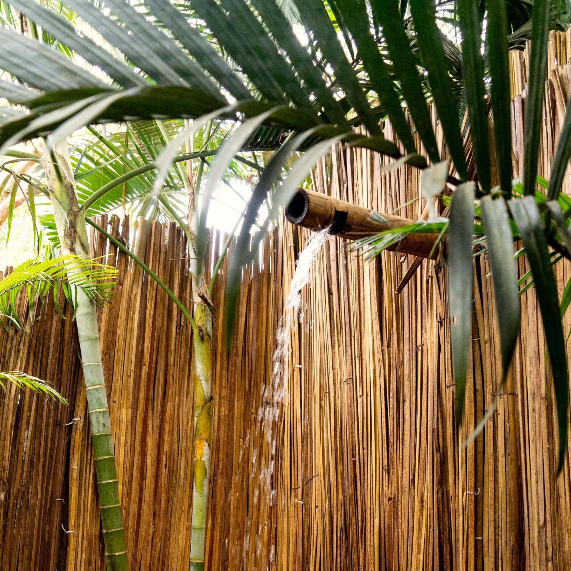 Viavia Entebbe Hotel Exterior photo